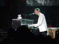 thefeeling 0811100147