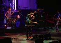 thewombats 0811220061