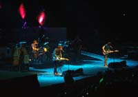 thewombats 0811220219