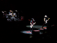 Green Day 0501290158small.JPG