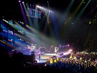 Green Day 0501290211small.JPG